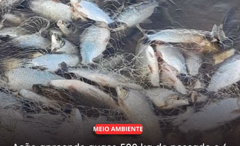  TUCURUÍ | Ação apreende quase 500 kg de pescado e 6 mil metros de redes no Lago de Tucuruí