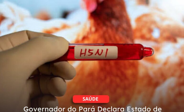  SAÚDE | Governador do Pará Declara Estado de Emergência Zoossanitária devido à Ameaça de Influenza Aviária H5N1