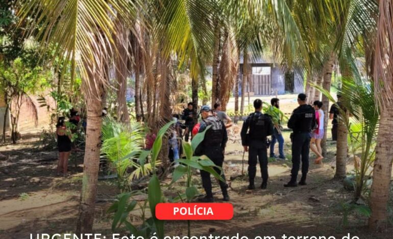  TUCURUÍ | URGENTE: objeto parecido com Feto é encontrado dentro de um pote de vidro em terreno do bairro Jardim Marilucy