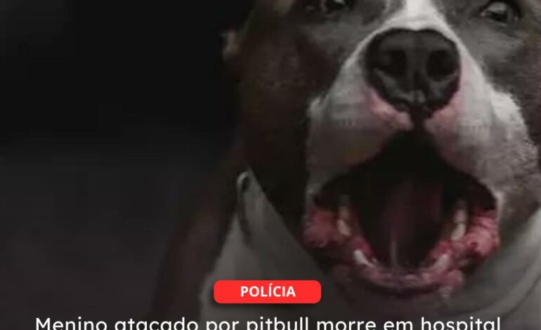  CAPITÃO POÇO | Menino atacado por pitbull morre em hospital nesta segunda (25)