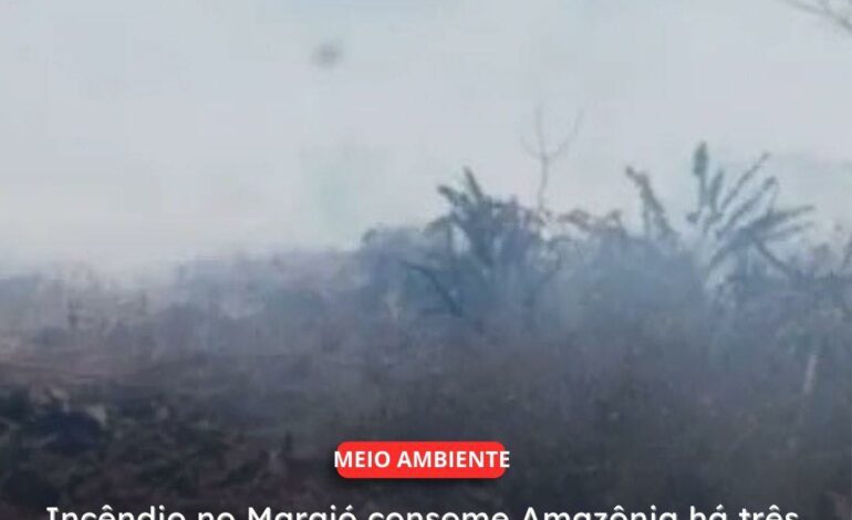  BREVES | Incêndio no Marajó consome Amazônia há três semanas