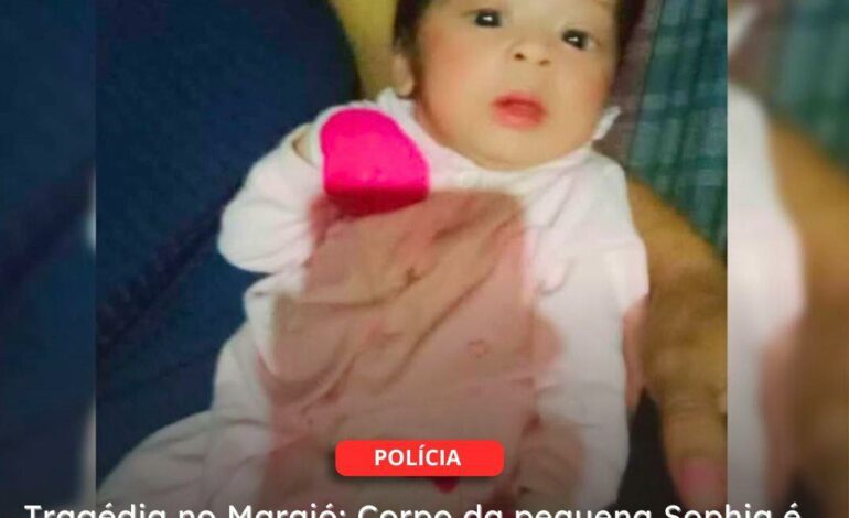  BREVES | Tragédia no Marajó: Corpo da pequena Sophia é encontrado após acidente entre rabeta e lancha