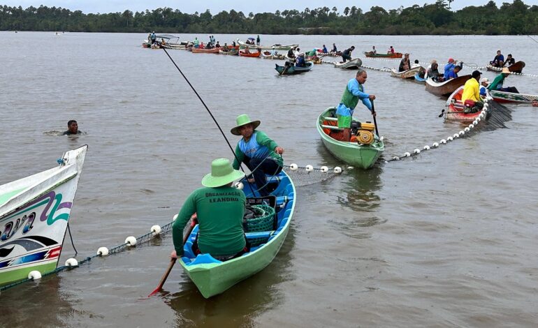  LIMOEIRO DO AJURU | Fim do Defeso: Vereador Pereirinha acompanha abertura da pesca do Mapará